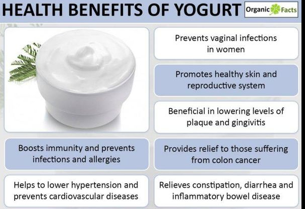 benefits of yoghurt