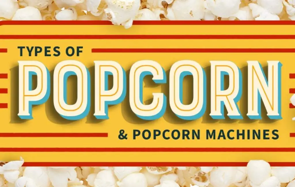 Choosing-the-Right-Popcorn.webp