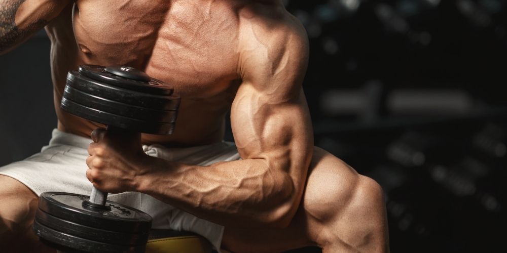 How to Increase Your Biceps: Effective Strategies for Arm Growth