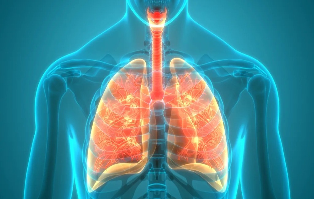 Respiratory Health_11zon (1).jpg