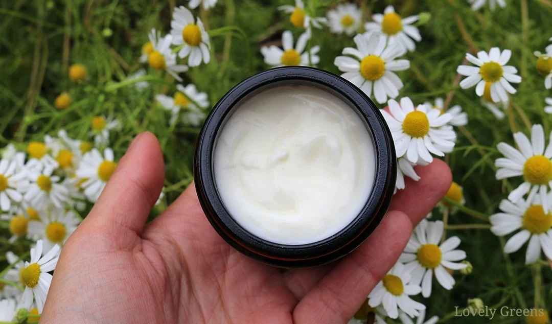 How To Make Chamomile Lotion At Home