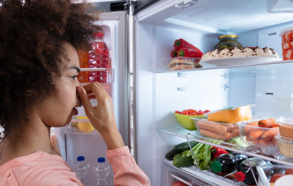 How To Eliminate Bad Smells From The Refrigerator