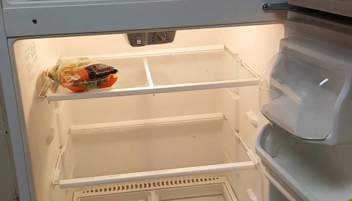 empty the fridge.jpg