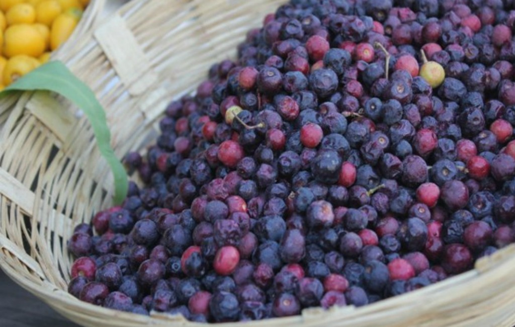 5 Best Falsa Recipes