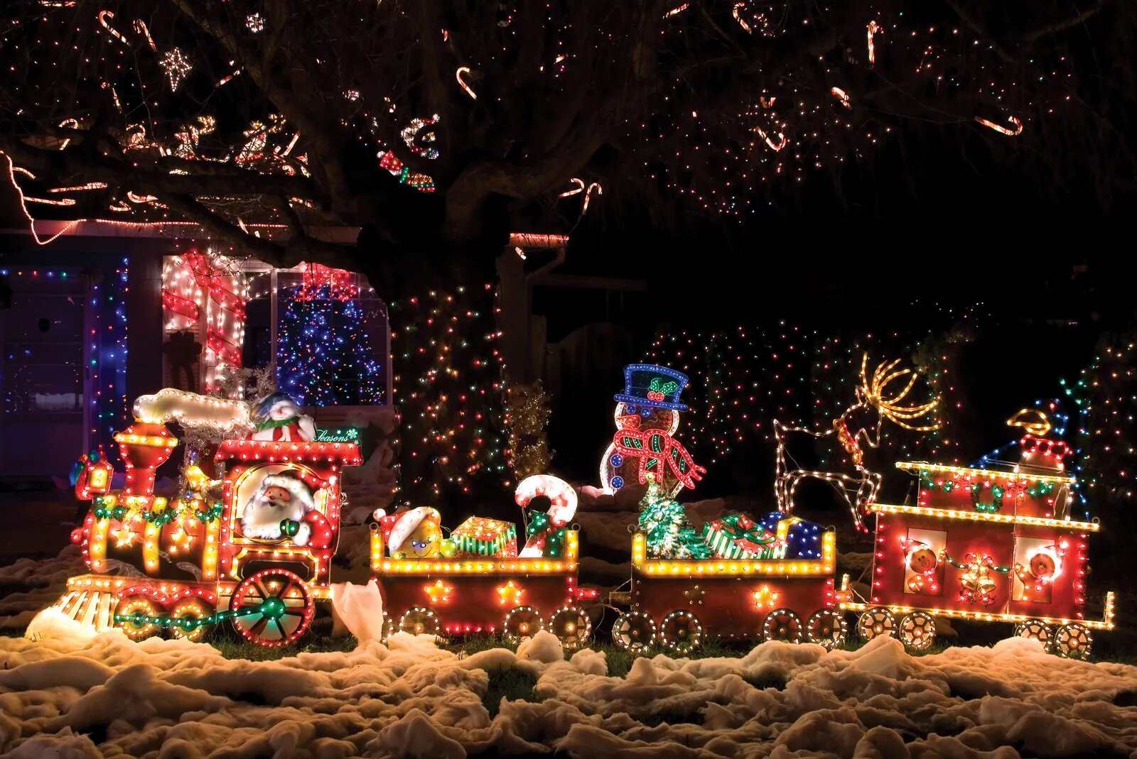 front-yard-Christmas (1).jpg