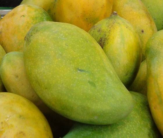 langra mango.jpg