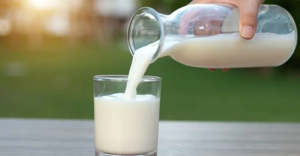 milk.jpg