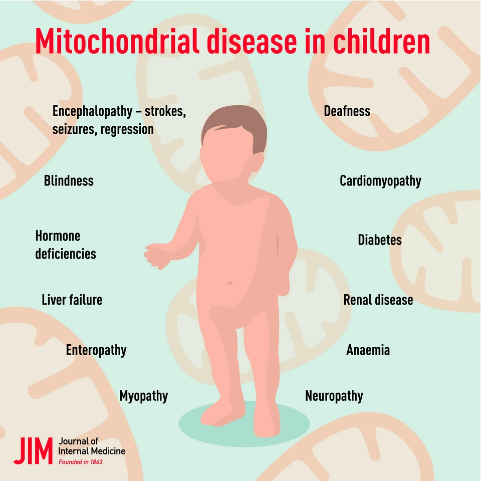 mitochondiral diseases.jpg