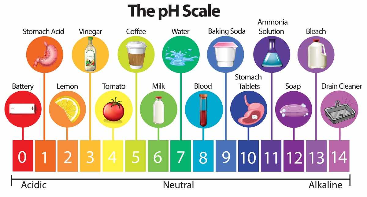 pH of alkaline food.jpg