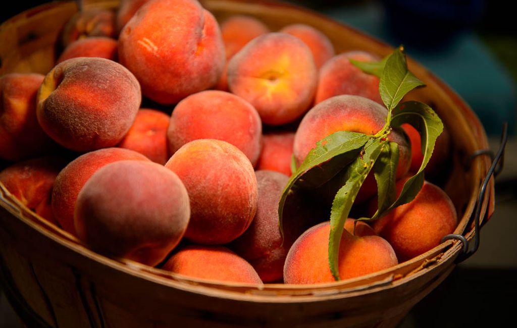 5 Reasons Why Peaches Are a Must-Have This Summer