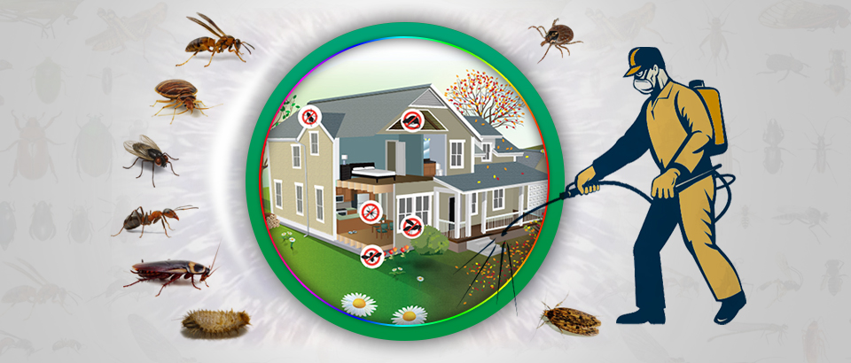 pest control services.jpg