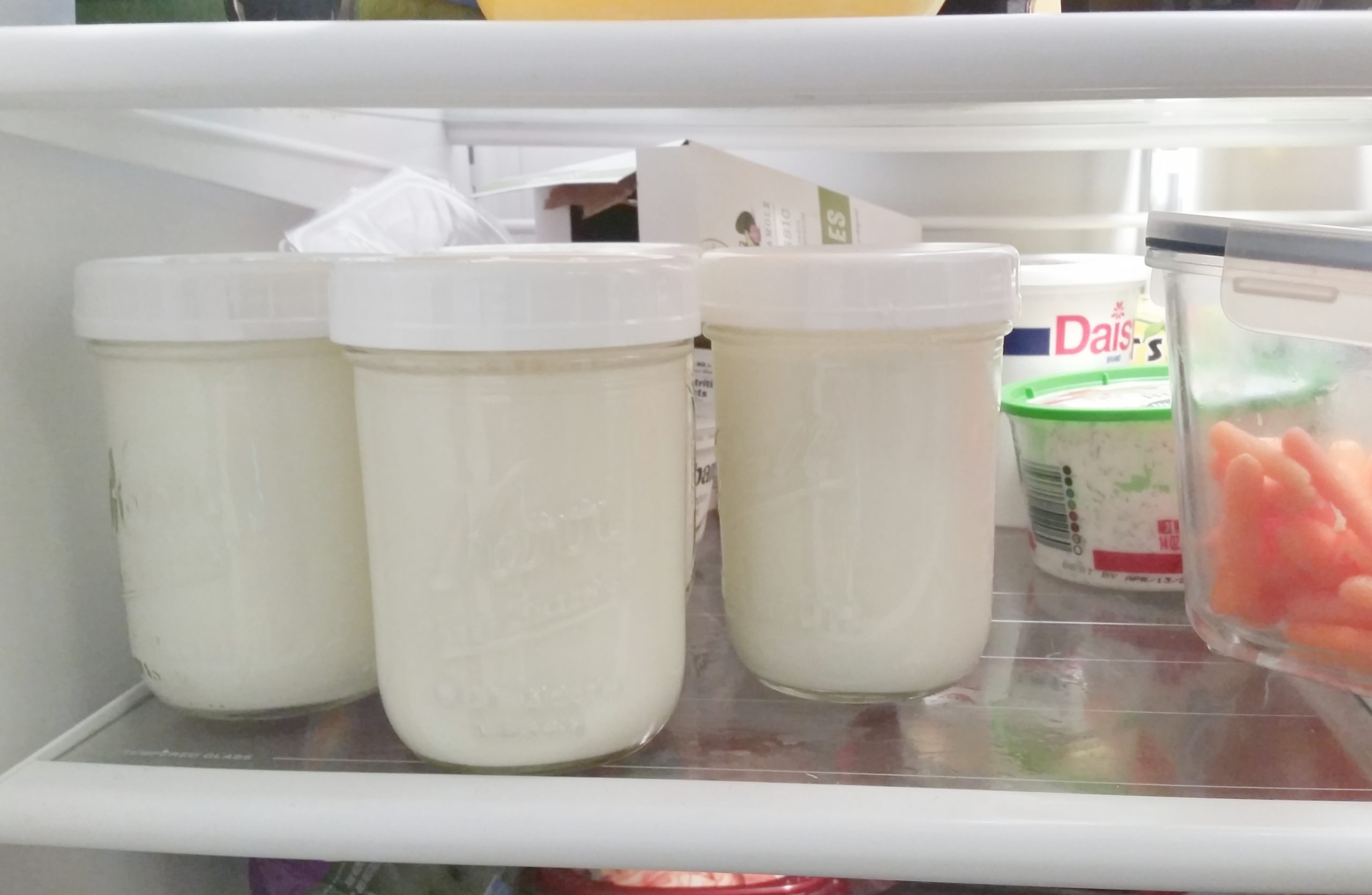 place yoghurt in fridge.jpg
