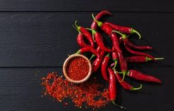 Chilli Peppers Existed 15 Million Years Ago