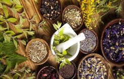 Nature's Pharmacy: Harnessing the Benefits of Plant-Based Remedies