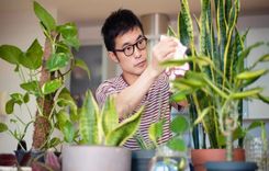 Nurturing Nature Indoors: Indoor Plant Management